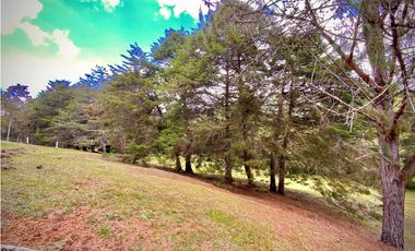 Venta Lote Parcelacion Sobre Planos El Retiro