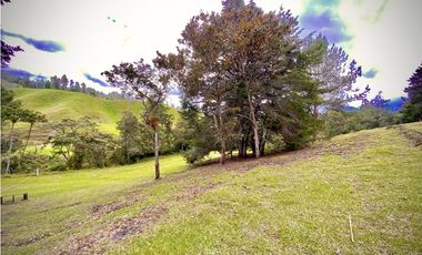Venta Lote Parcelacion Sobre Planos El Retiro
