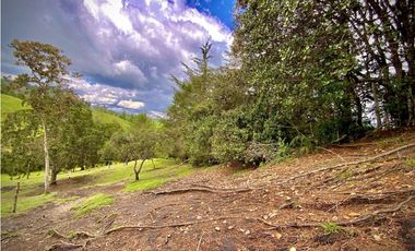 Venta Lote Parcelacion Sobre Planos El Retiro