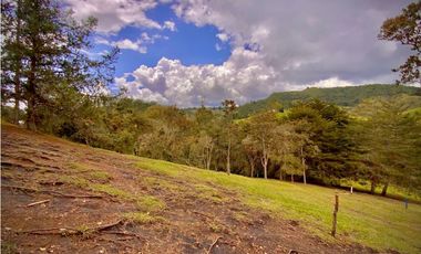 Venta Lote Parcelacion Sobre Planos El Retiro