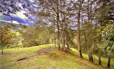Venta Lote Parcelacion Sobre Planos El Retiro
