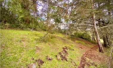 Venta Lote Parcelacion Sobre Planos El Retiro