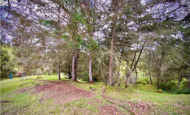 Venta Lote Parcelacion Sobre Planos El Retiro