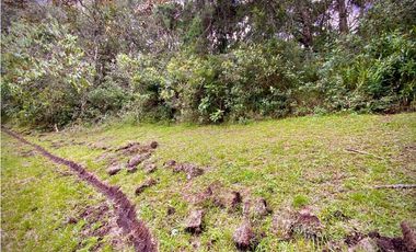 Venta Lote Parcelacion Sobre Planos El Retiro