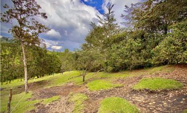 Venta Lote Parcelacion Sobre Planos El Retiro