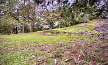 Venta Lote Parcelacion Sobre Planos El Retiro