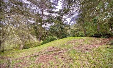 Venta Lote Parcelacion Sobre Planos El Retiro