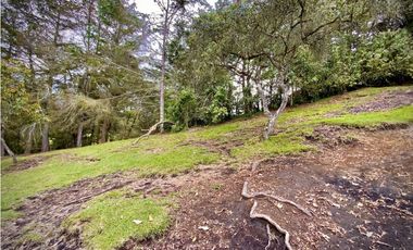 Venta Lote Parcelacion Sobre Planos El Retiro