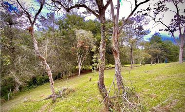 Venta Lote Parcelacion Sobre Planos El Retiro