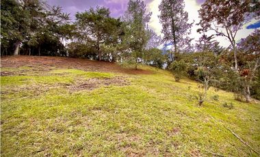 Venta Lote Parcelacion Sobre Planos El Retiro