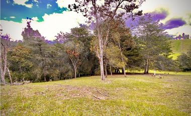 Venta Lote Parcelacion Sobre Planos El Retiro