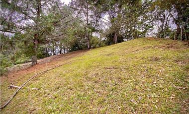 Venta Lote Parcelacion Sobre Planos El Retiro