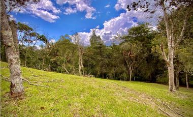 Venta Lote Parcelacion Sobre Planos El Retiro