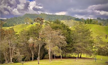 Venta Lote Parcelacion Sobre Planos El Retiro