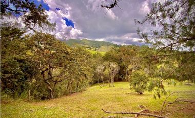Venta Lote Parcelacion Sobre Planos El Retiro