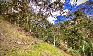 Venta Lote Parcelacion Sobre Planos El Retiro