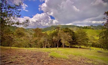 Venta Lote Parcelacion Sobre Planos El Retiro
