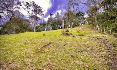 Venta Lote Parcelacion Sobre Planos El Retiro