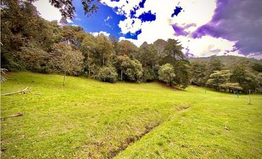 Venta Lote Parcelacion Sobre Planos El Retiro