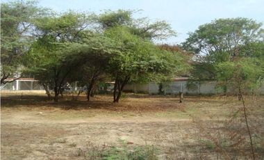 Lote en venta en el sector La Paz por Bello Horizonte en Santa Marta