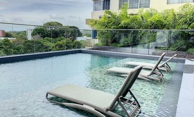 Ph Van Gogh - El Cangrejo - JAC.P