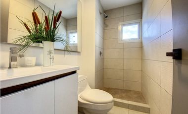 Ph Van Gogh - El Cangrejo - JAC.P