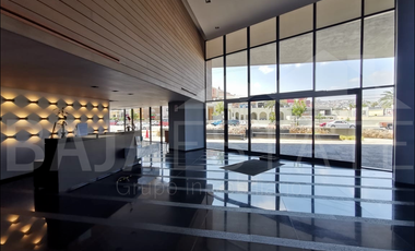 DEPARTAMENTO EN RENTA EN HIPODROMO TIJUANA ADAMANT