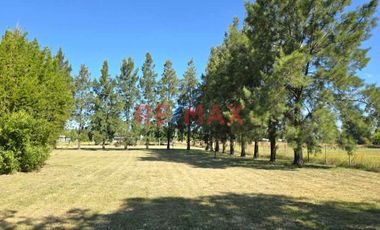 CASA 4 AMBIENTES VENTA CAÑUELAS 10400m2 c/PILETA