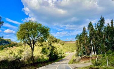 Agrícola en Venta en Ruta S-258 Temuco