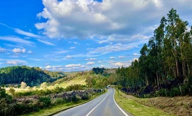 Agrícola en Venta en Ruta S-258 Temuco