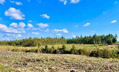 Agrícola en Venta en Ruta S-258 Temuco