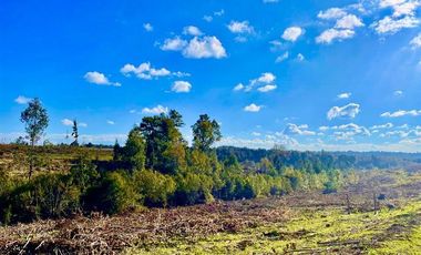 Agrícola en Venta en Ruta S-258 Temuco