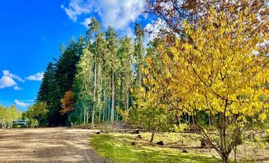 Agrícola en Venta en Ruta S-258 Temuco