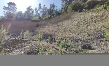 Sitio en Venta en Recta Manzano. SanJosé de Palco