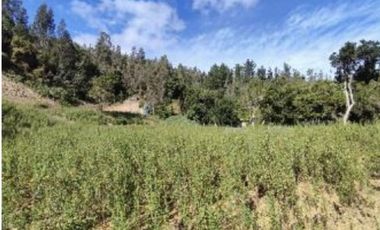 Sitio en Venta en Recta Manzano. SanJosé de Palco