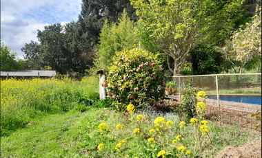 Sitio en Venta en Camino a Santa Juana Km 3