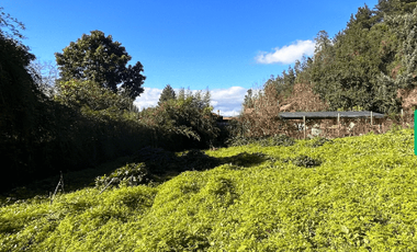 Sitio en Venta en Camino a Santa Juana Km 3