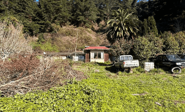 Sitio en Venta en Camino a Santa Juana Km 3