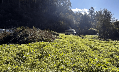 Sitio en Venta en Camino a Santa Juana Km 3