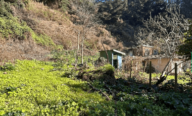 Sitio en Venta en Camino a Santa Juana Km 3
