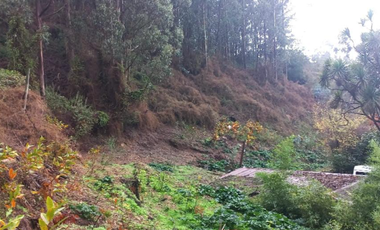 Sitio en Venta en Camino a Santa Juana Km 3