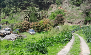 Sitio en Venta en Camino a Santa Juana Km 3