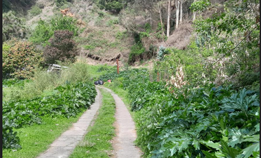 Sitio en Venta en Camino a Santa Juana Km 3