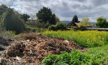 Sitio en Venta en Camino a Santa Juana Km 3