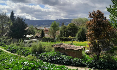 Sitio en Venta en Camino a Santa Juana Km 3