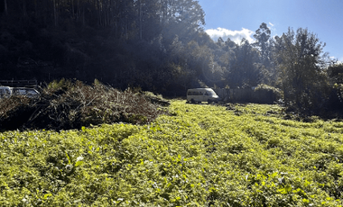 Sitio en Venta en Camino a Santa Juana Km 3