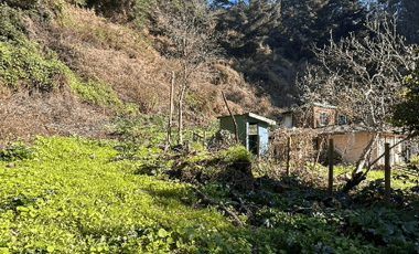 Sitio en Venta en Camino a Santa Juana Km 3