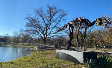 Terreno en venta en Del Marquez, Parras, Coahuila de Zaragoza