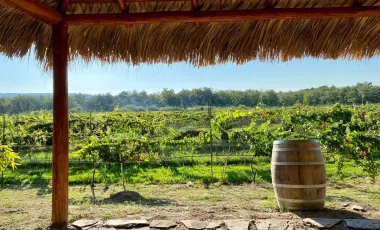 Terreno en venta en Del Marquez, Parras, Coahuila de Zaragoza