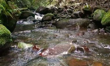 Sitio en Venta en sector Rio Sur, Puerto varas
